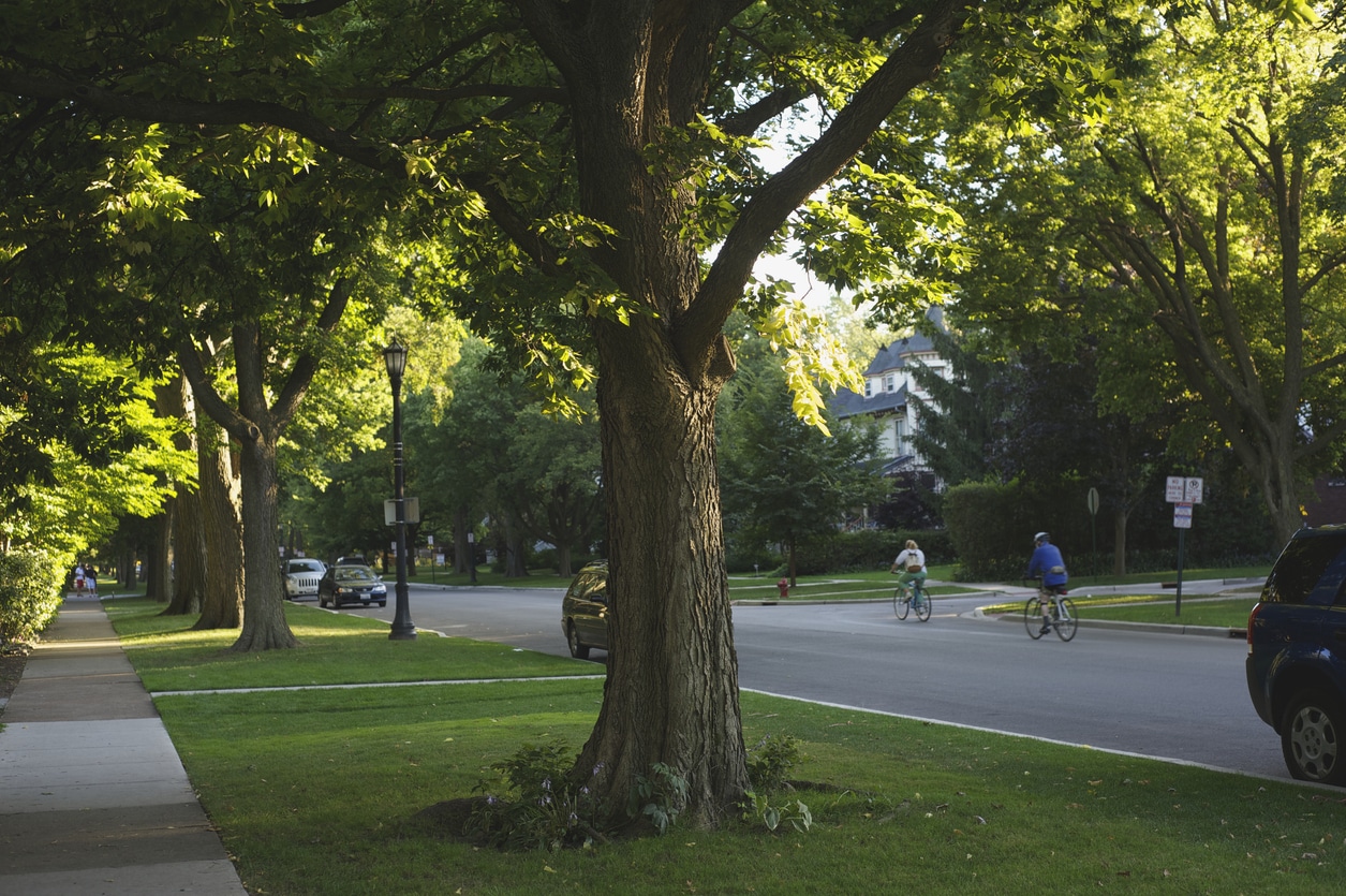 Suburban Street at Sunset